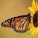 Margery Baker - Facebook