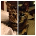 Marge And Bean - @marge_and_bean - Instagram