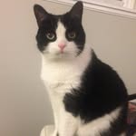 Margery Bean - @margery_bean - Instagram