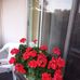 Margery Bell - Facebook