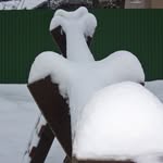 Margery - @margerycarrell57 - Instagram