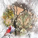 Marge Cunningham - @marge.cunningham.58 - Instagram