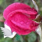 Gordon Margery - Facebook