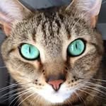 Marge Martinez - @marge.martinez.798 - Instagram