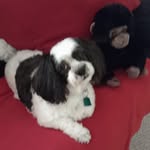 Marge Martinez - @onegoldensmile4u - Instagram