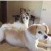 Margery Turner - Facebook