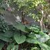 Margie Ballis - Facebook
