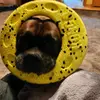Margie Bierman - @margiebierman - TikTok