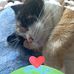 Margaret Blake - Facebook