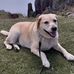 Margaret Blake - Facebook