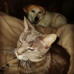 Margie Blake - @beachbaby55 - Instagram