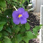 Margie Bloom - @mbloom55 - Instagram