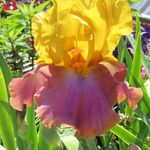 Margie James Bloom - @margiejamesbloom - Instagram