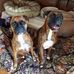 Margaret Boling - Facebook