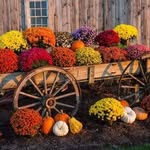 Margie Britton - @britton5172 - Instagram