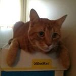 Margie Britton - @margiejbrittongmail.com_ - Instagram