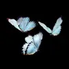 ☘️☘️Márgs€hēn☘️☘️ - @margiechen17 - TikTok