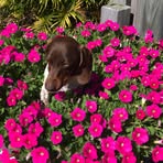Margie Cole - Facebook
