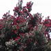 Margaret Connor - Facebook