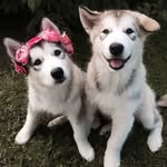 MARGIE - @margieconnors.50 - Instagram