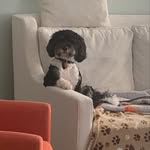 Margie Crowder - @margie.crowder.37 - Instagram
