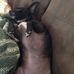 Margie Daugherty Garrison - Facebook