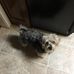 Margie Dean - Facebook
