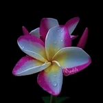 Margie Dean - @margiedean239 - Instagram