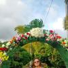 MARGIEDEAN - @margiedean - TikTok
