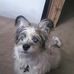 Margie Decker - Facebook