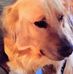 Margie Deeds - Facebook