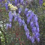 Margie Dees - @deesmargie - Instagram
