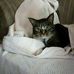 Marge Dolan - Facebook