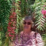 Margie Downs - @margie_downs2 - Instagram