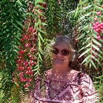 Margie downs - @margiedowns2 - Instagram