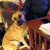 margiedowns - @margiedowns - TikTok