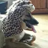 Margie Duerr - @margie.duerr - TikTok