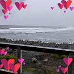 Margie Dunlap - @hihomargo - Instagram