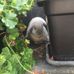 Margaret Edmonds - Facebook