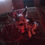 Margie Elder - @eldermargie65 - Instagram