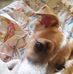 Margie Ellis - Facebook