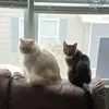 Margie Elizabeth - @margiefair1 - TikTok