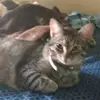 Margie Fields - @margie.fields6 - TikTok