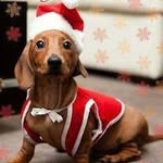 Margie Fleming - @margiefleming998 - Instagram