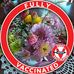 Margaret Forrest - Facebook