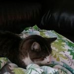 Margie Campbell Gross - @campbellgross - Instagram