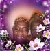 Margaret Head - Facebook