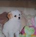 Margie Head - Facebook