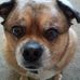 Margaret Hemphill - Facebook