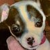 Margaret Hemphill - Facebook